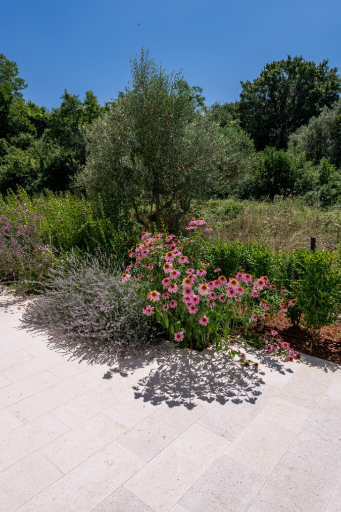 Villa Ora with pool, Rakalj - Istria Rakalj