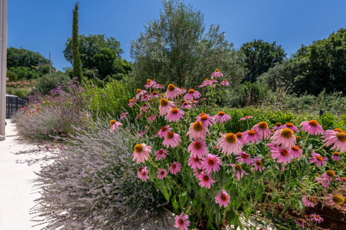 Villa Ora with pool, Rakalj - Istria Rakalj