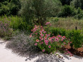 Villa Ora with pool, Rakalj - Istria Rakalj