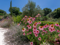 Villa Ora con piscina, Rakalj - Istria Rakalj